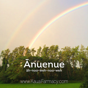 Anuenue double rainbow in Hawaii