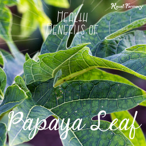 Health Benefits of Papaya Leaf