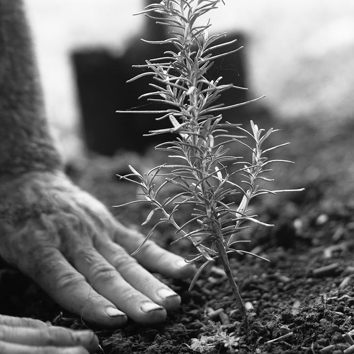 The Earth Within Us