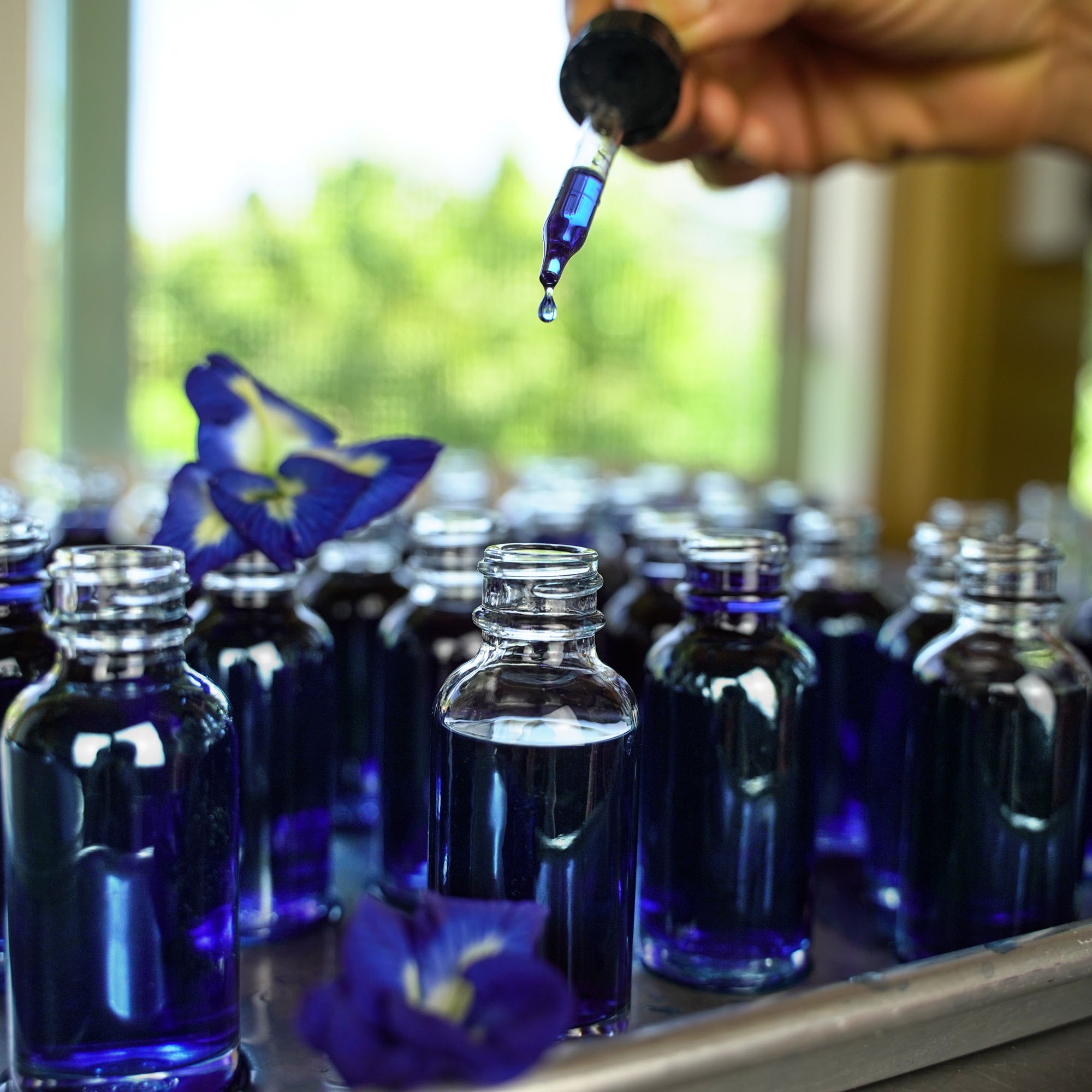 Fine Tune your Health with Precision Herbs