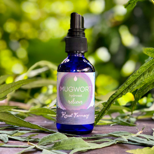 Mugwort Hydrosol