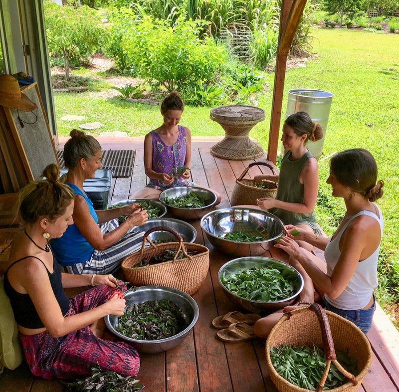 Ancient Wisdom Meets Modern Medicine Down on the Farm