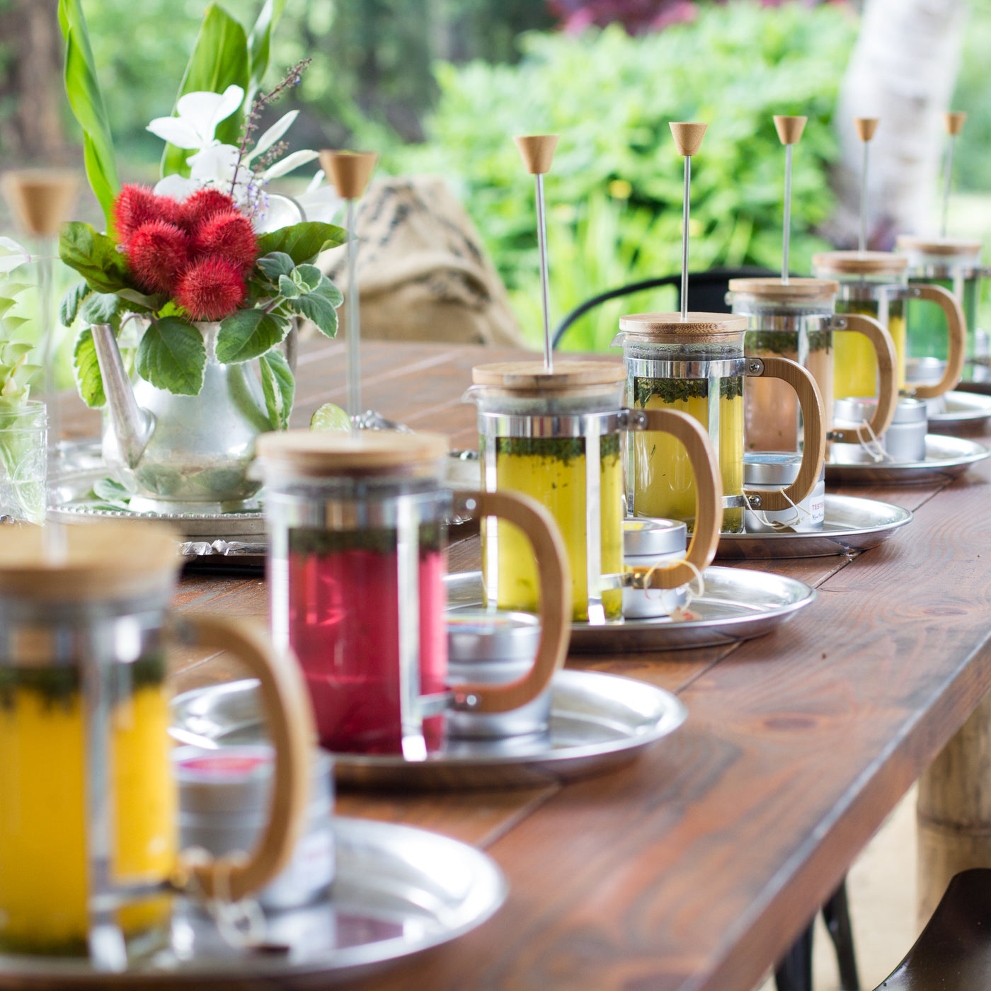 Single Origin, hand-picked teas