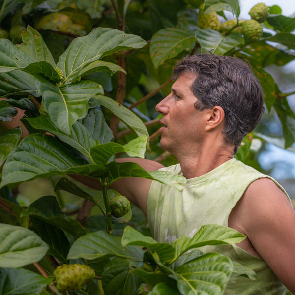 NONI - The All Everything MEDICINE