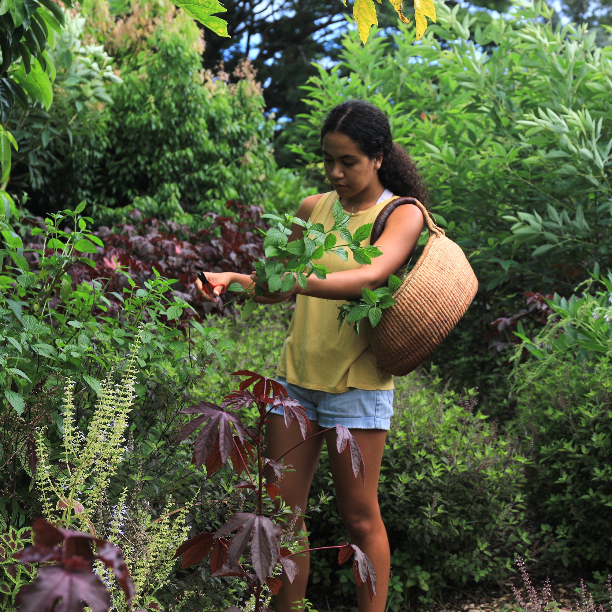 Consistency in the New Year