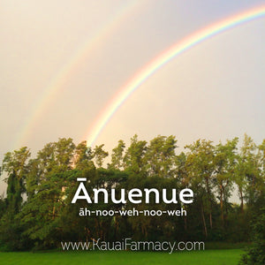 Anuenue double rainbow in Hawaii