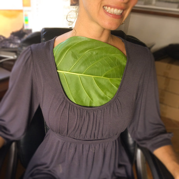 Getting to the Heart of the Matter: Noni