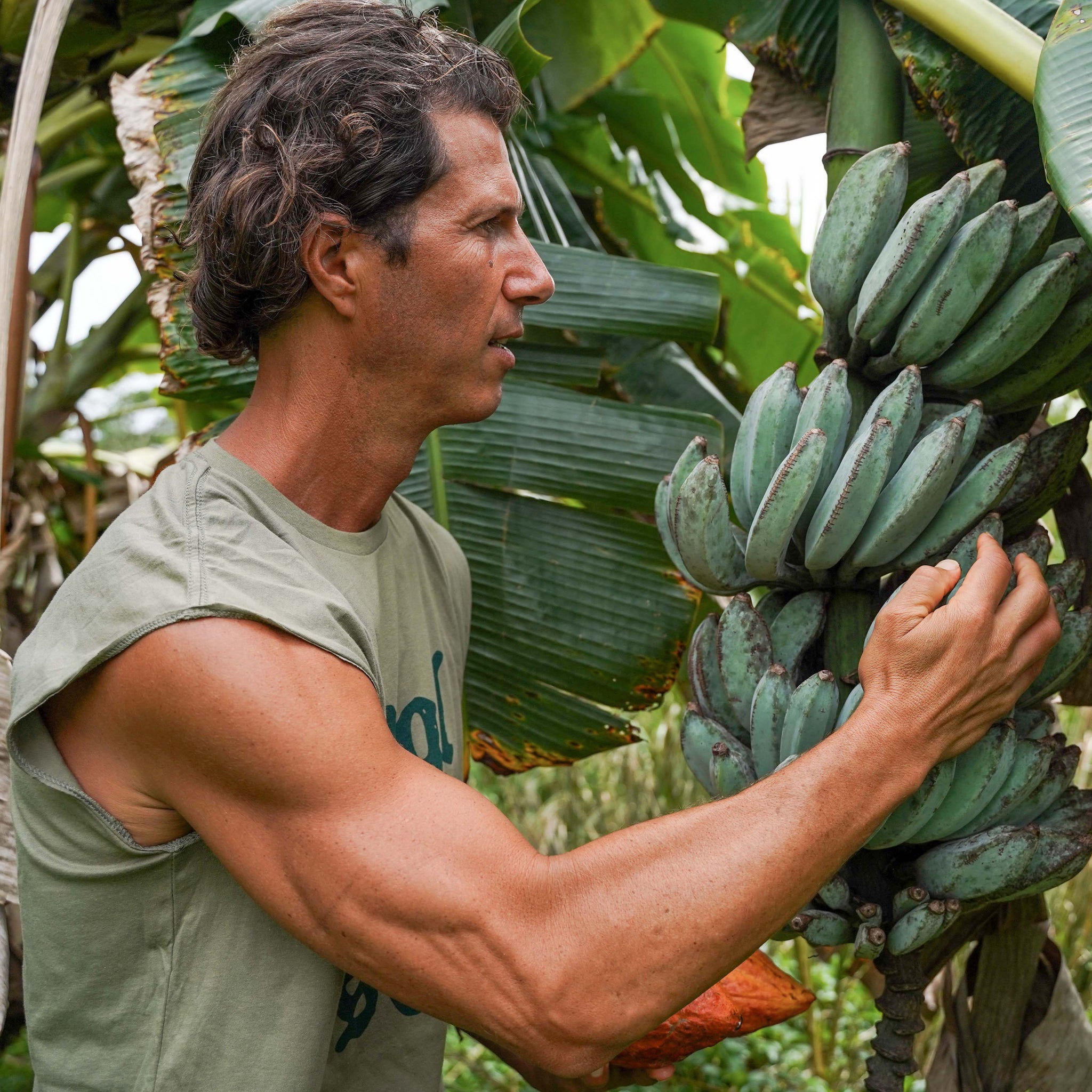 Superpowers of Plant Medicine