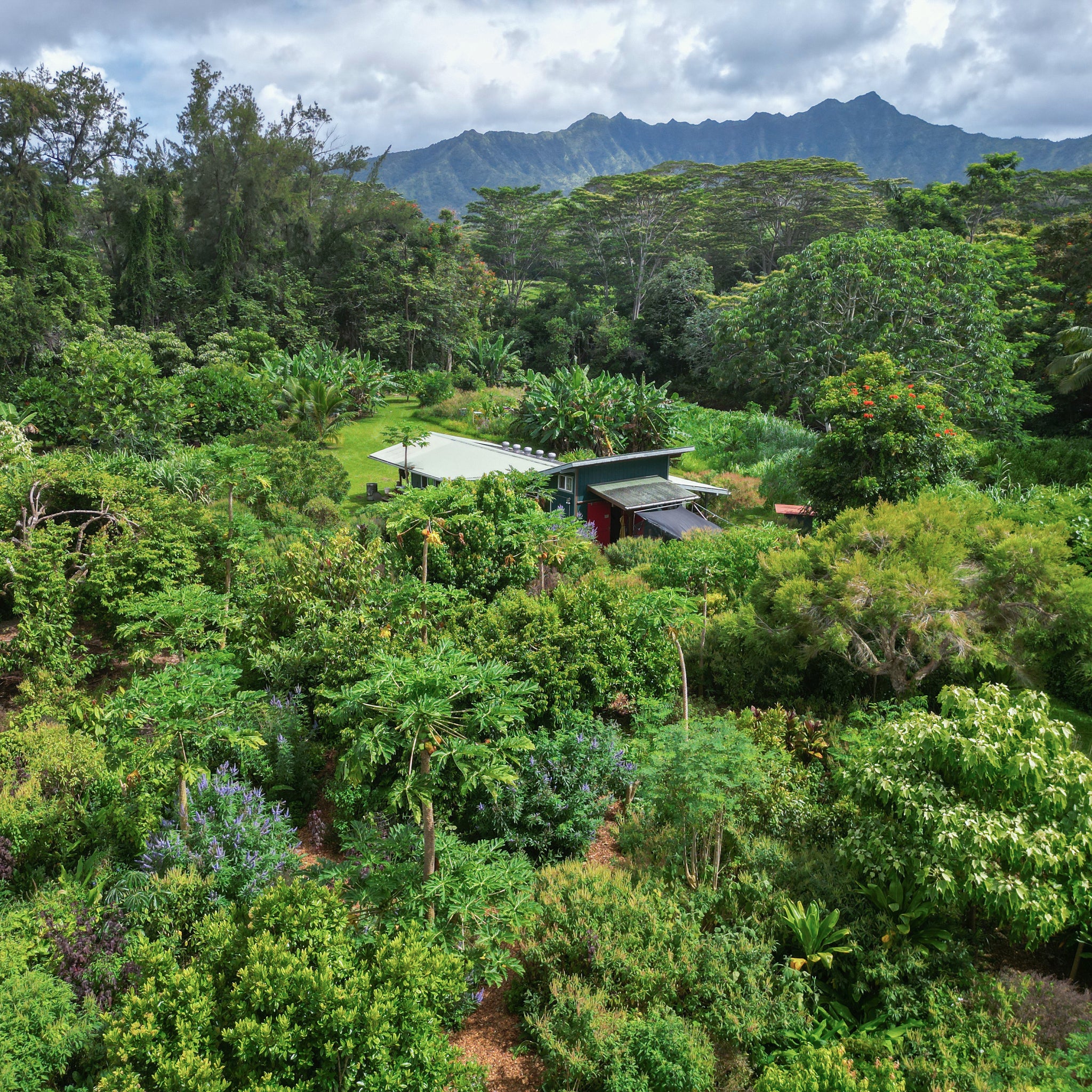 The Kuleana Collective