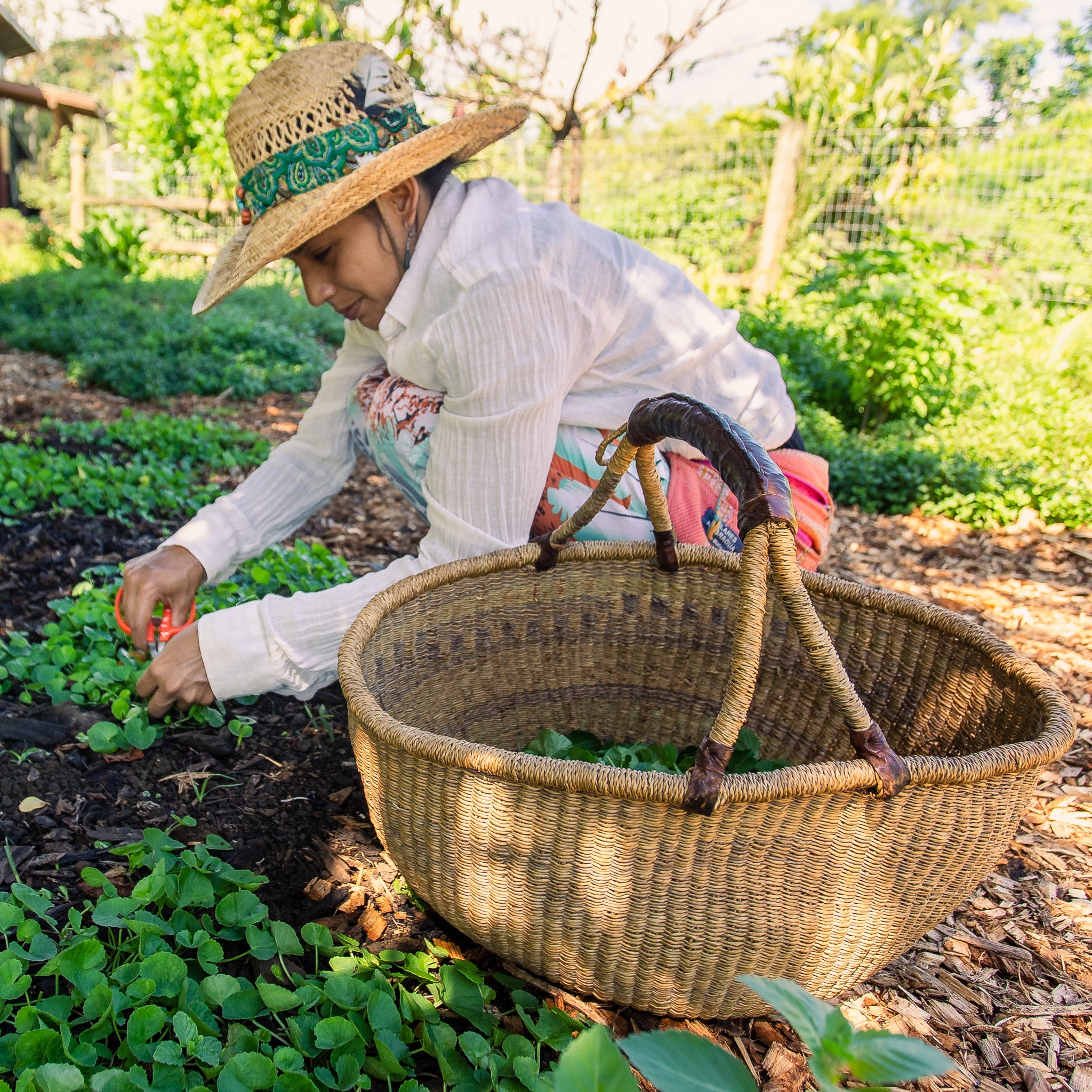 10 tools and practices for a healthy mind