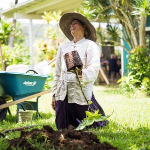 Planting Herbal Medicine in Ritual