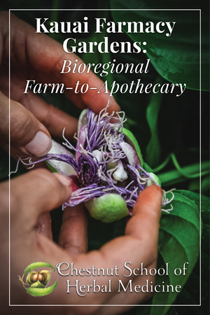 Kauai Farmacy Gardens: Bioregional Farm-to-Apothecary