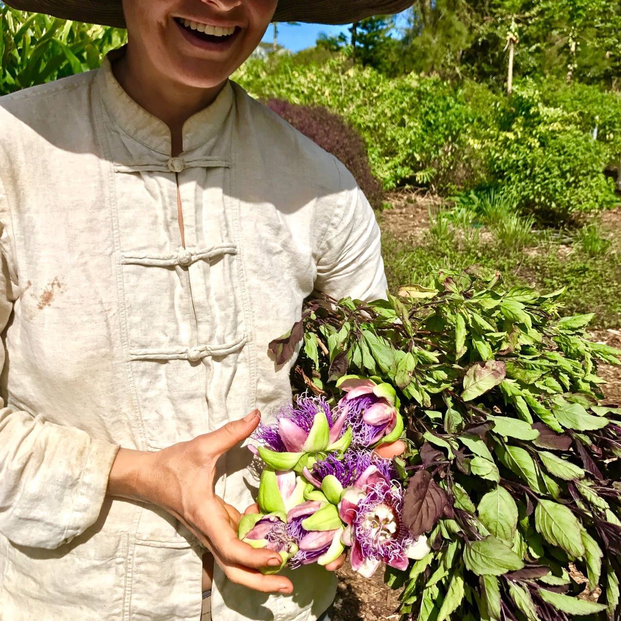 Lilikoi Flower in Tranquility Tea