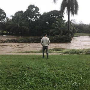 Kauai Flood Update. We're OK!