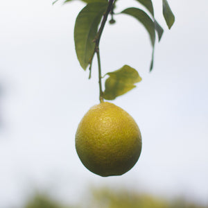 Kauai Farmacy Lemon