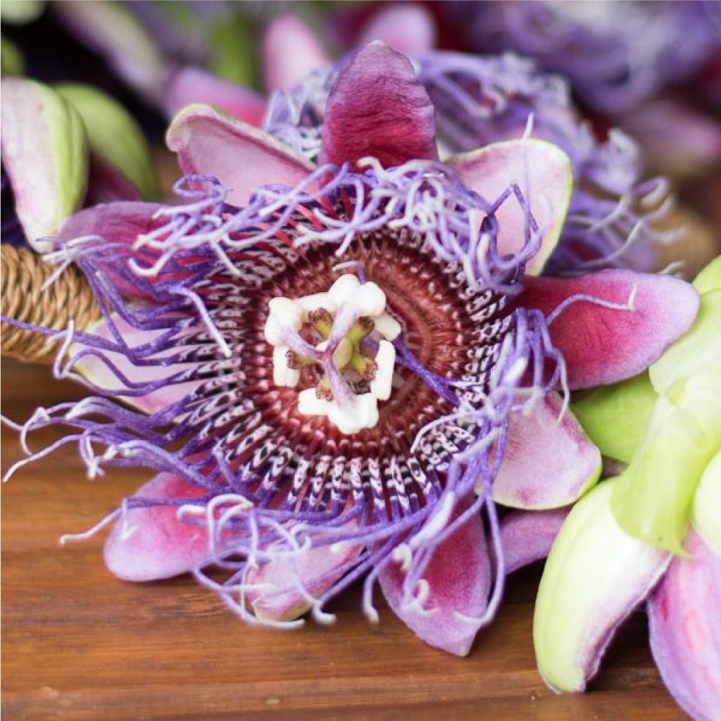Passion Flower Revealed - Kauai Farmacy