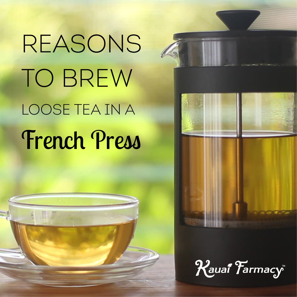 Brew Loose Tea in a French Press Kauai Farmacy