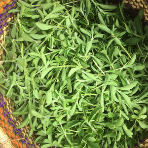 What Unprocessed Stevia Looks Like