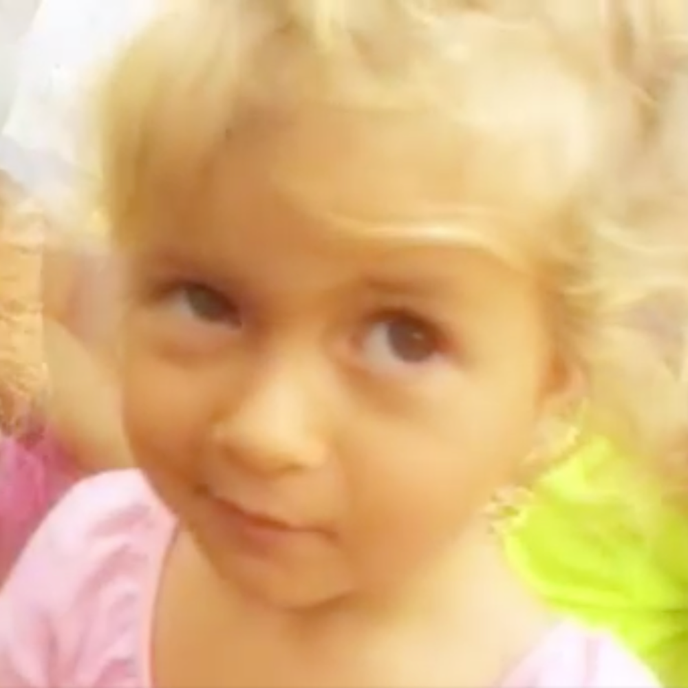 Kauai Farmacy Seedlings