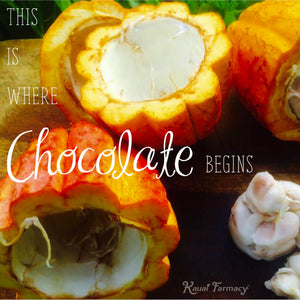 This is where chocolate begins...