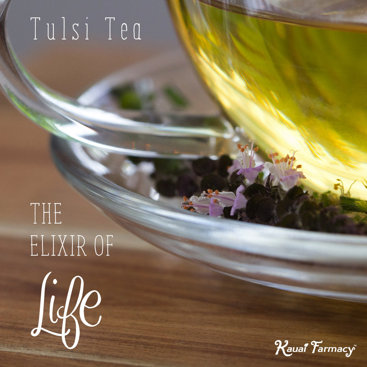 Tulsi - The Elixir of Life