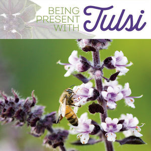 being present with tulsi