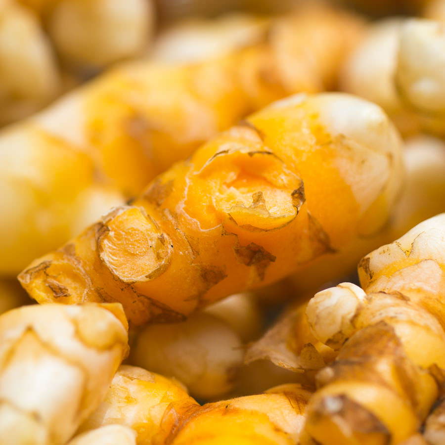 Turmeric root
