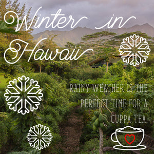 Winter in Hawaii. Rainy weather is the perfect time for a cuppa tea.