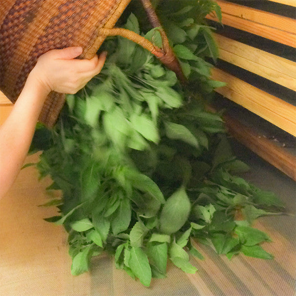 Pouring Our Love into What We Do