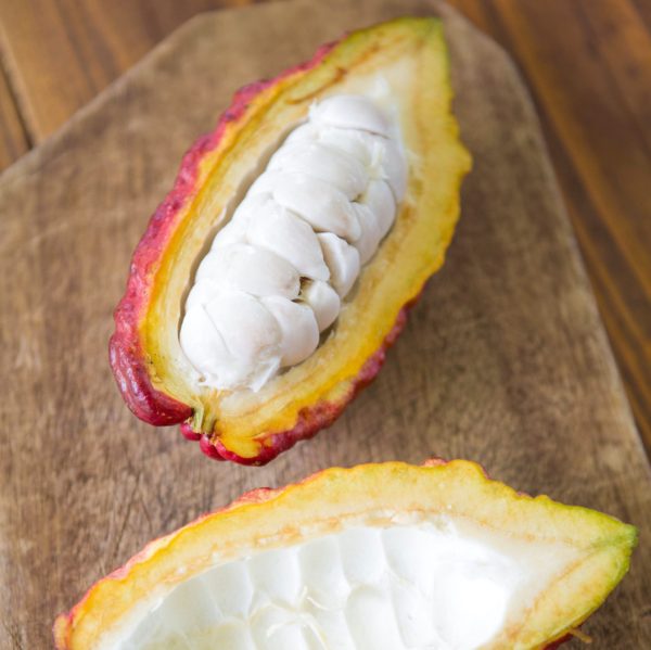 Not All Chocolate is Created Equal