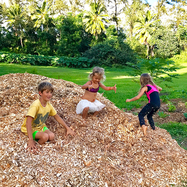 2017 New Years Evolution