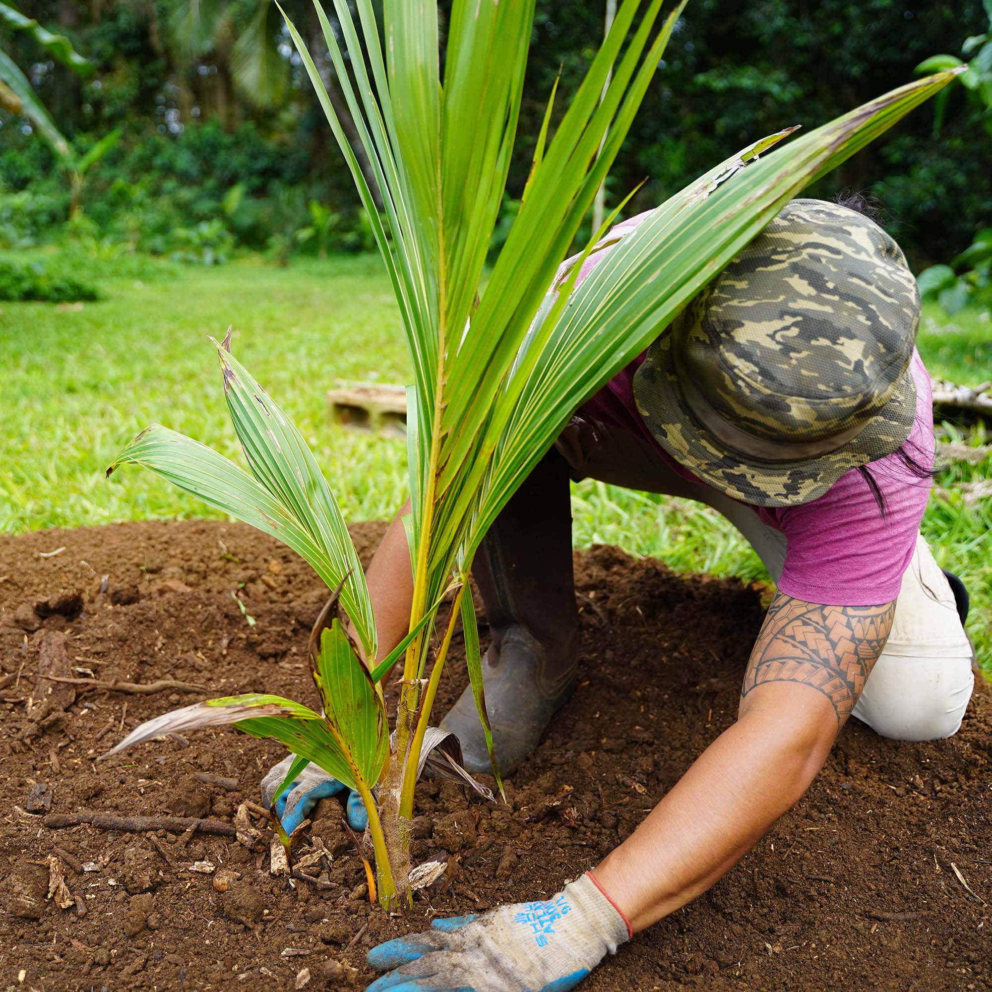 Restore Native Plants