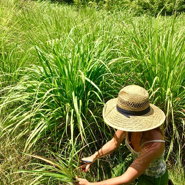 Do what you love and love what you do.