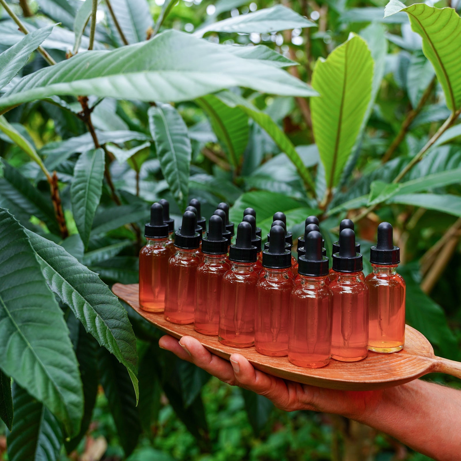 Your Complete Guide to Our Tinctures