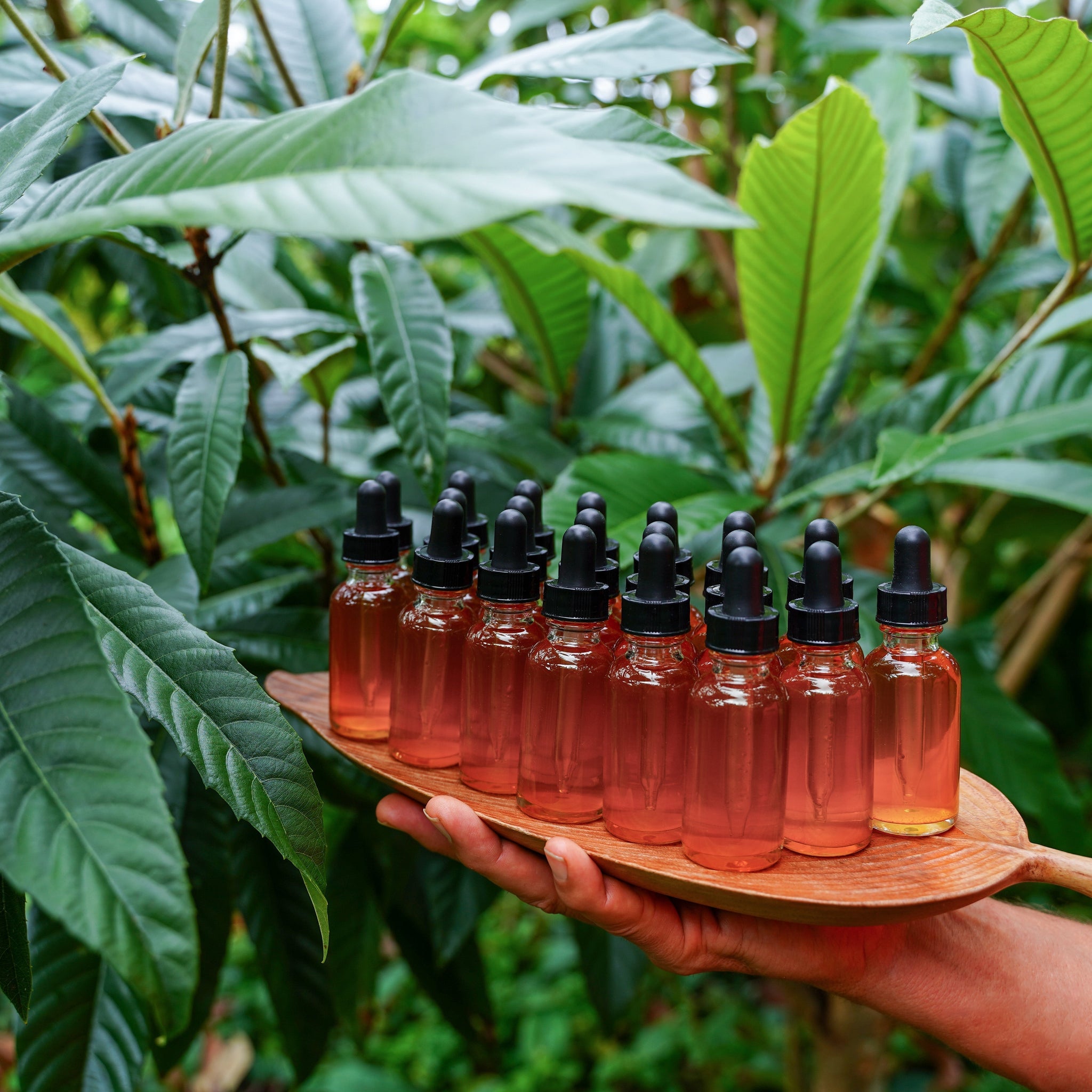 Your Complete Guide to Our Tinctures