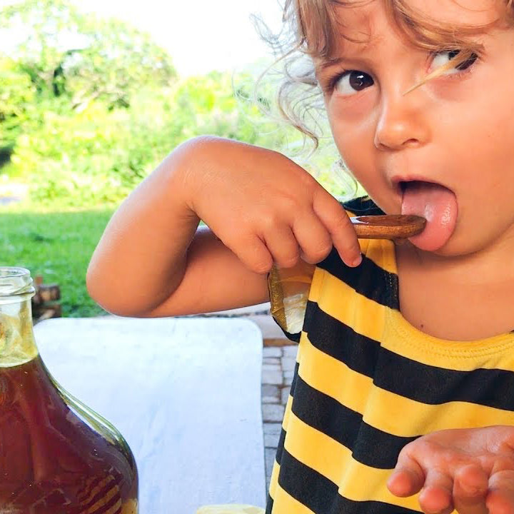 Morning Gardens at Kauai Farmacy