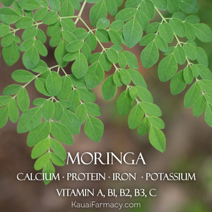 MORINGA, The Herbal Superfood
