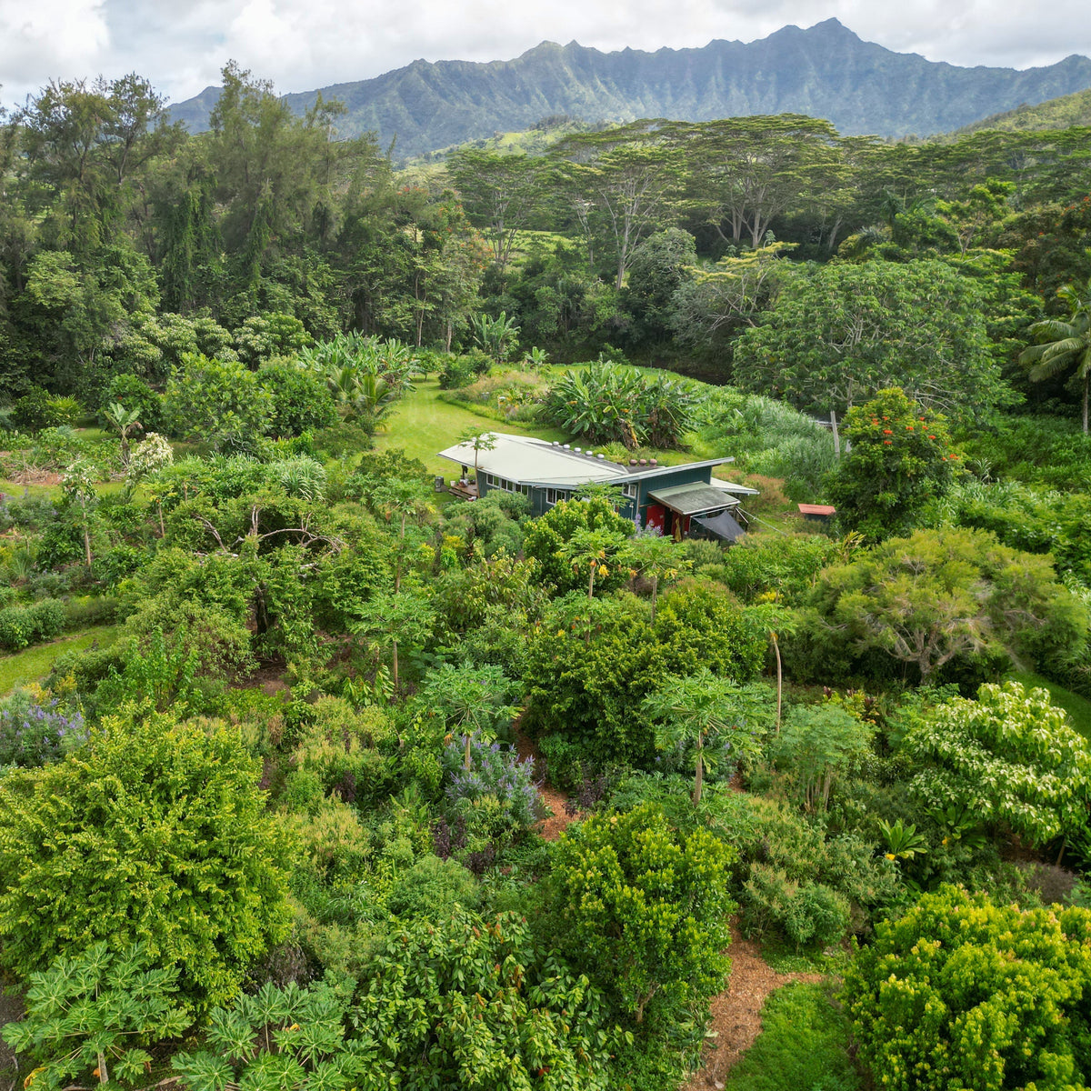 Heal the Land - And Each Other