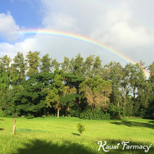 SOMEWHERE UNDER THE RAINBOW