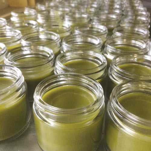 Comfrey "Knit-Bone" Salve