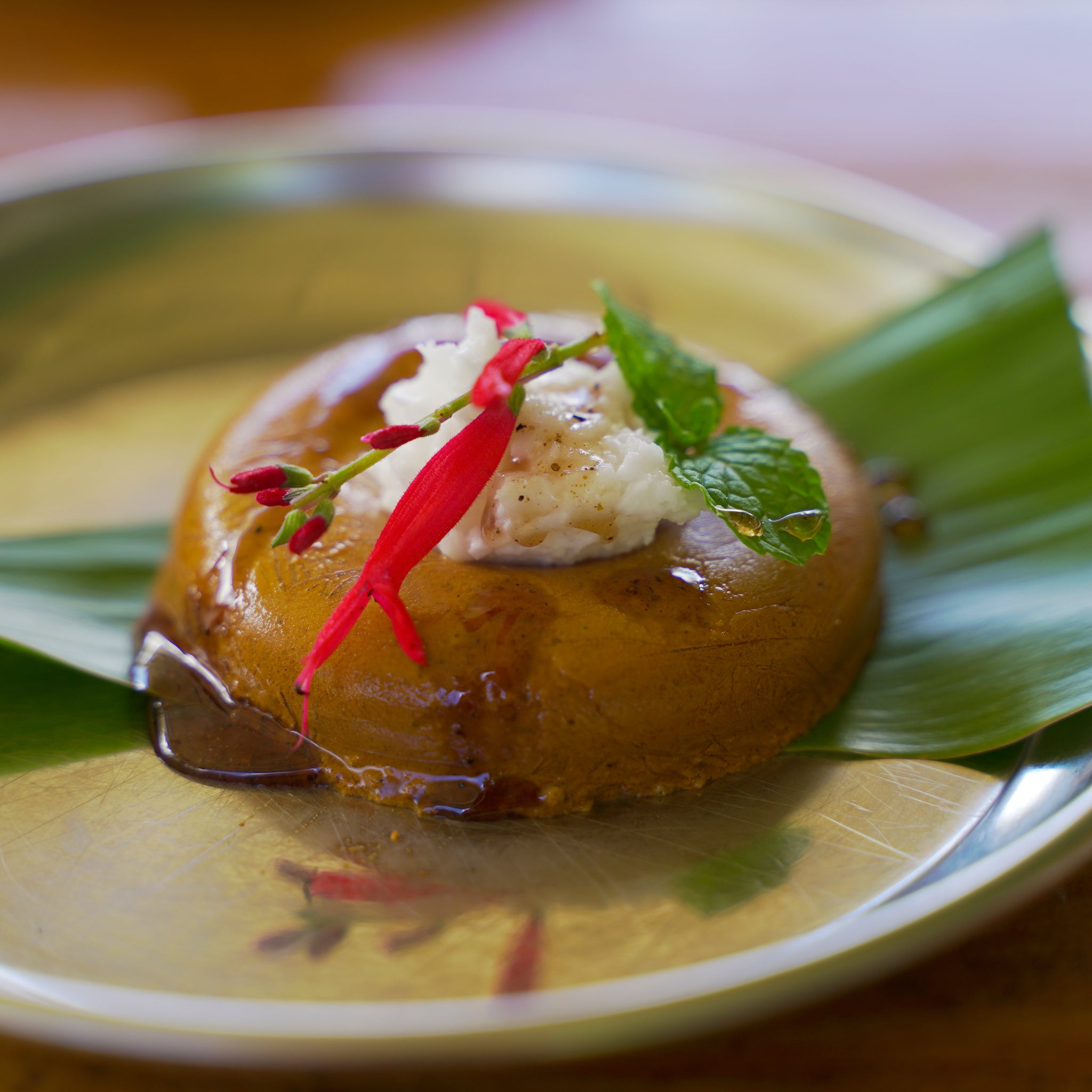 Chocolate Mint Coconut Ice Cream Saucers