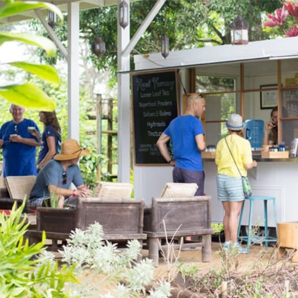 I'll Have What She's Having