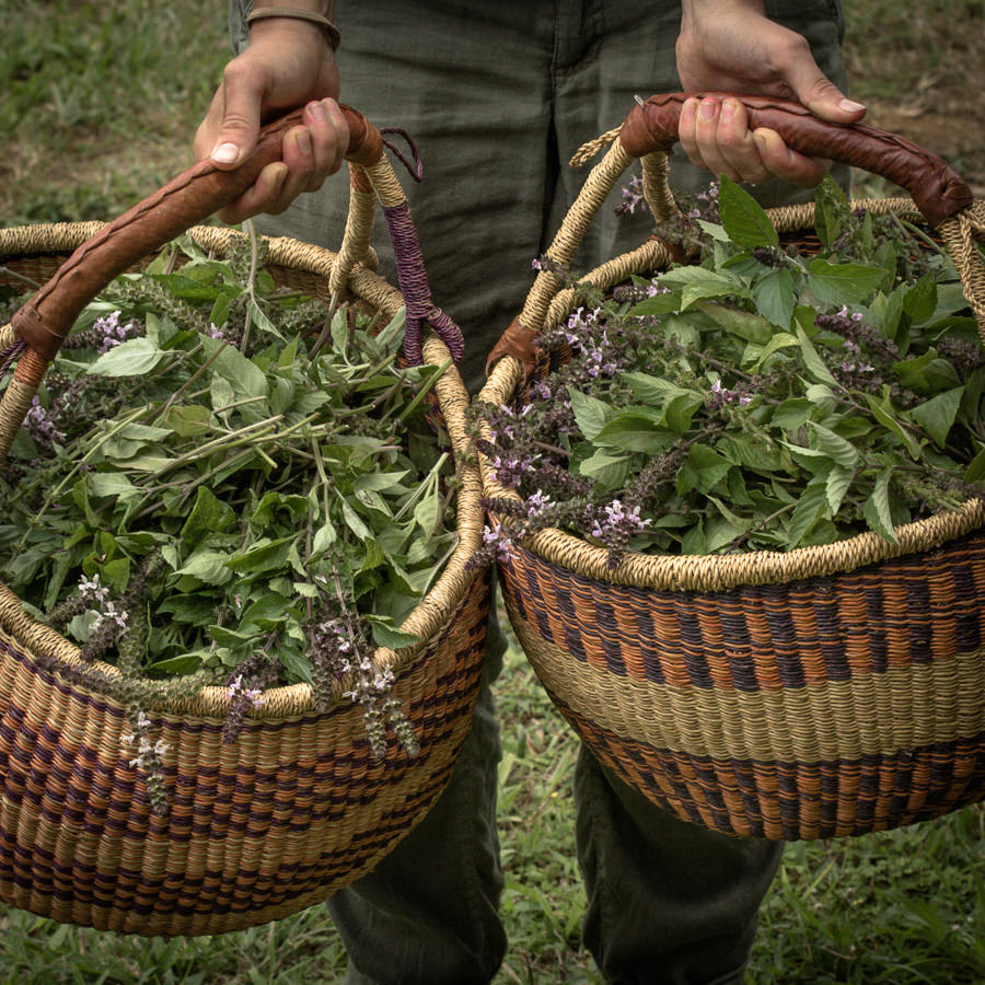 Farmers Market Partners: Love for Self, Family, Community