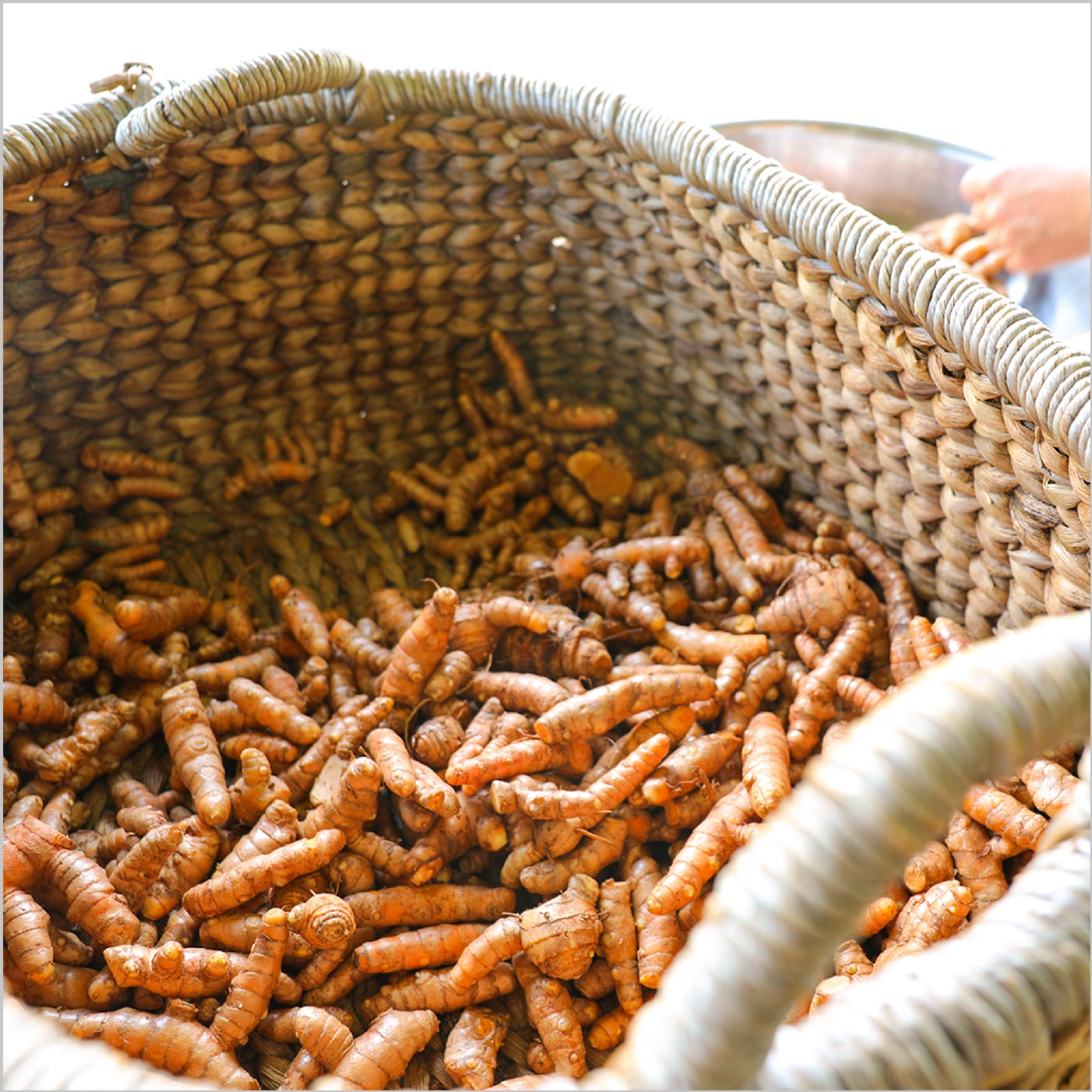 The Essence of Immunity