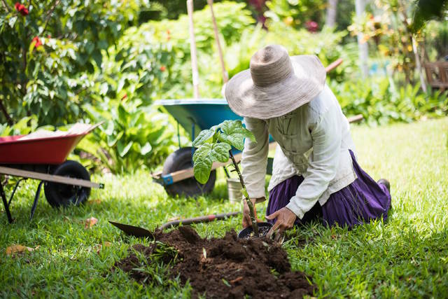 From New York to Kauai, couple trade high life for gardening