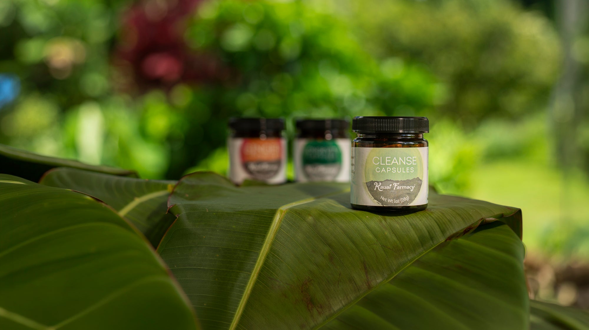 Kauai grown