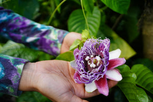 Herbalism Workshop