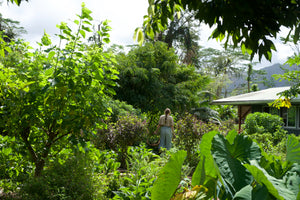 Herbalism Workshop