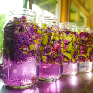 Herbalism Workshop