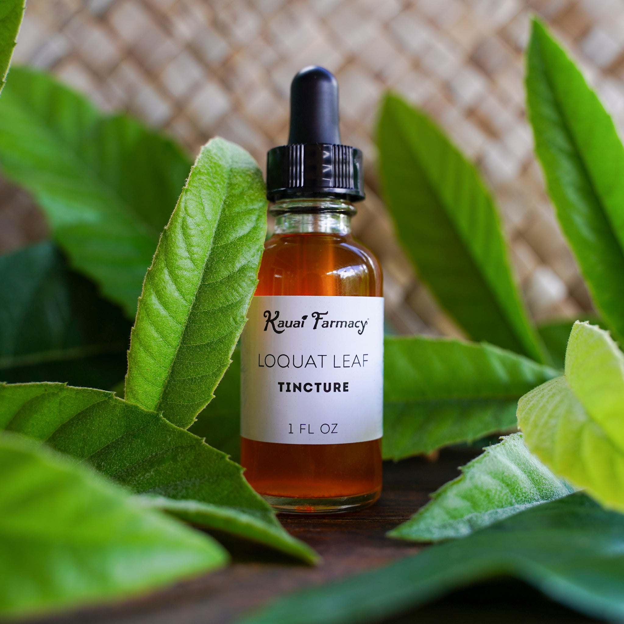 Loquat Extract Loquat Leaf Tincture | Farm-Grown Herbal Extract | Kauai Farmacy